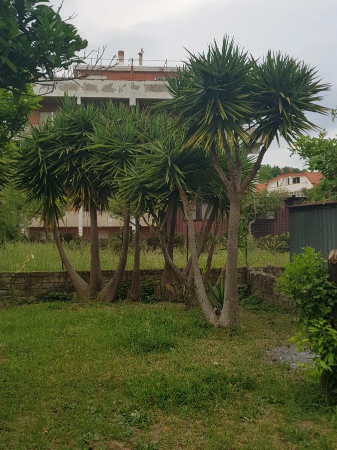 Villa "Il Nespolo" Scauri  Exterior foto